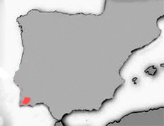 Iberochondrostoma almacai_mapa_021